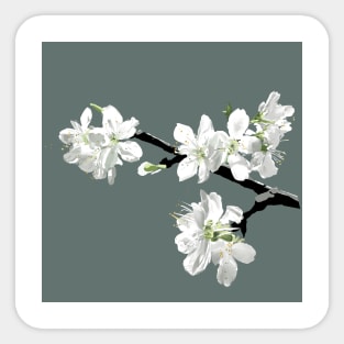 Plum Tree Sticker